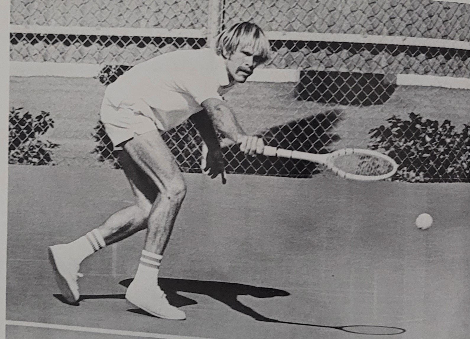  1974  tennis Dan Nelson  