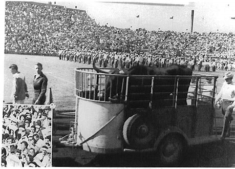 Silver spurs and Bevo's chariot.jpg