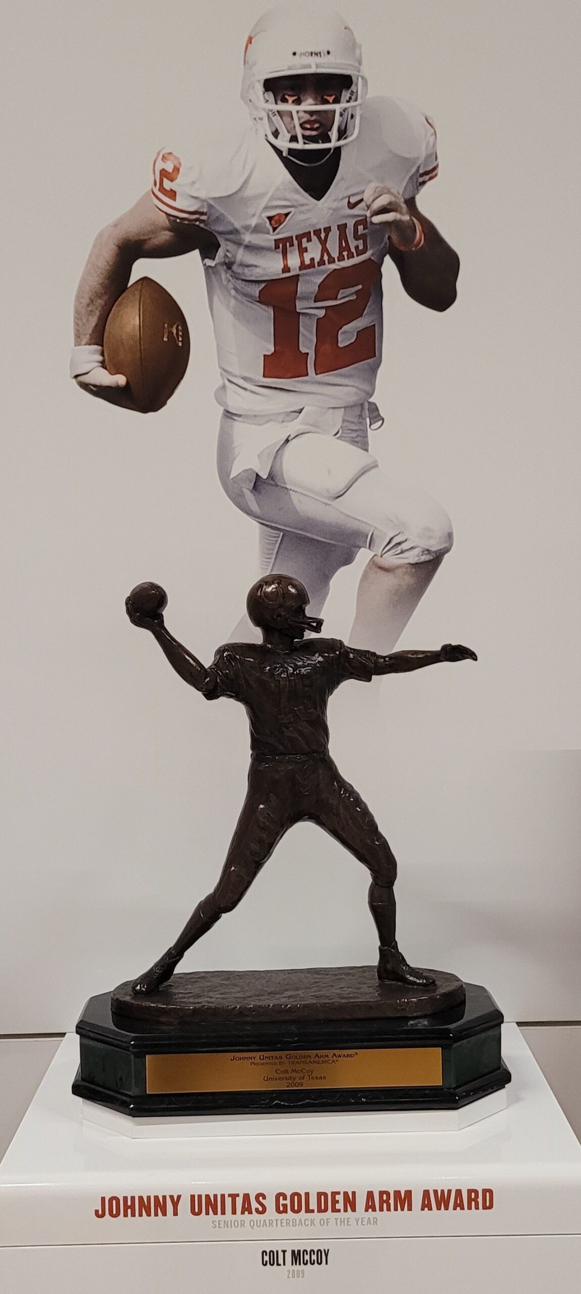 johnny Unitas Golden Arm  - Colt McCory 2009.jpg